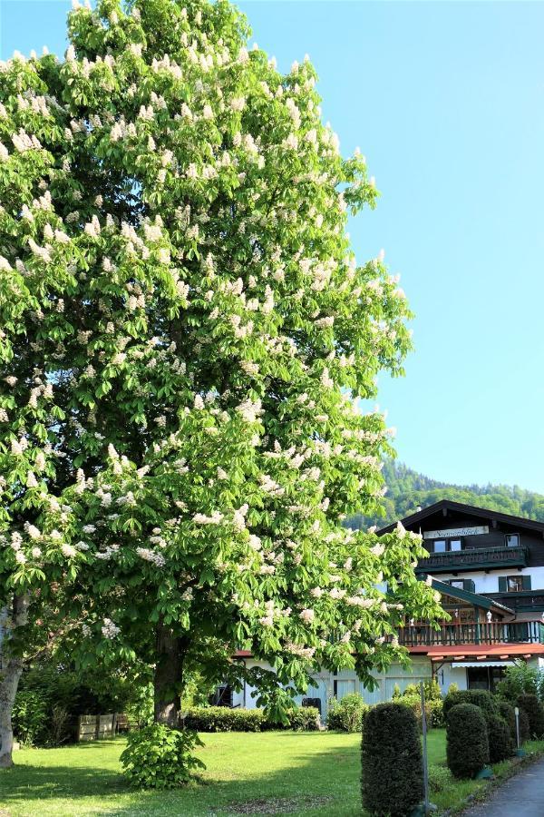 Sonnenblick Apartment *